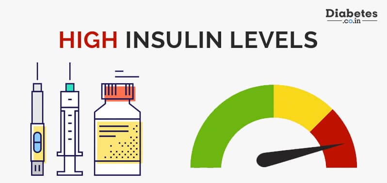 What happens when Insulin Levels are High?
