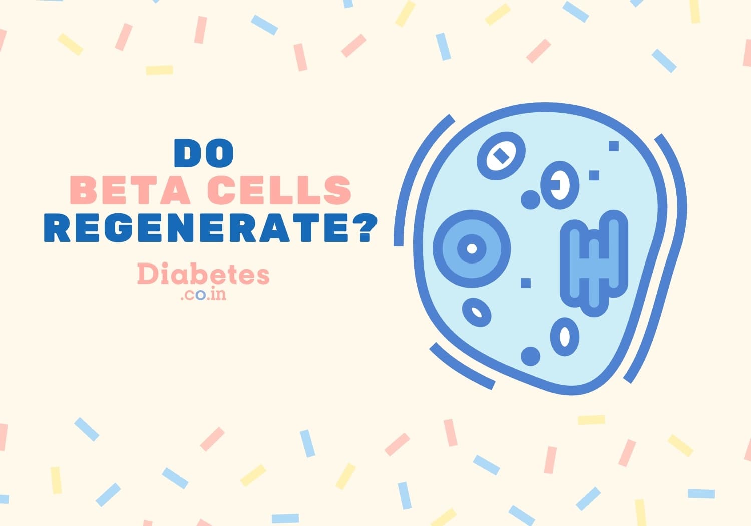Do Beta Cells Regenerate? What Destroys Beta Cells?