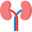 eGFR Calculator