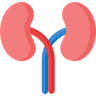 eGFR Calculator