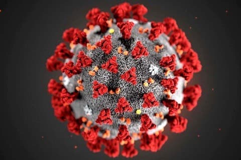 Is Diabetes a Risk Factor for COVID-19 (Coronavirus) Infection?