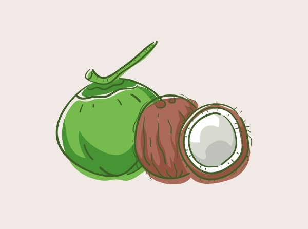 is-coconut-good-for-diabetics